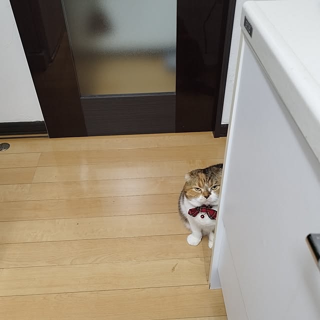 hiro3さんの部屋