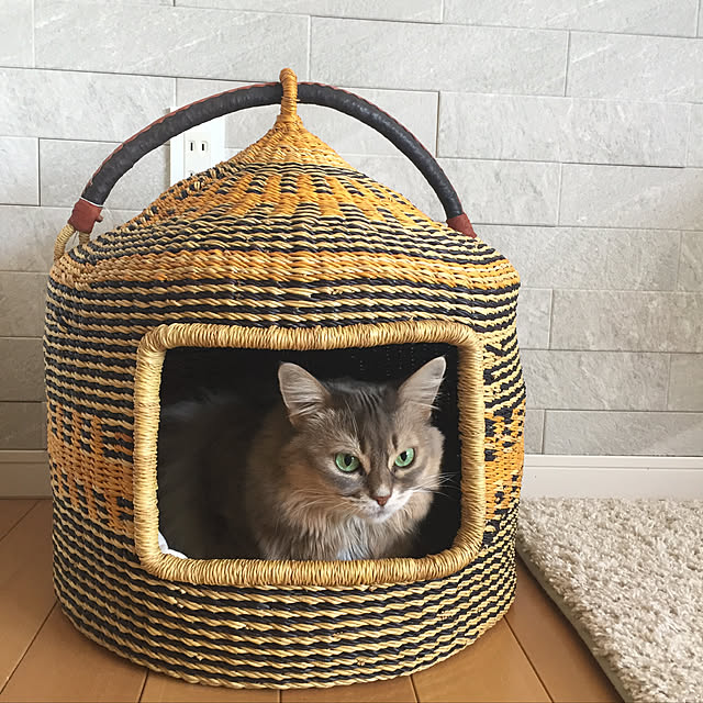 shihoさんの実例写真