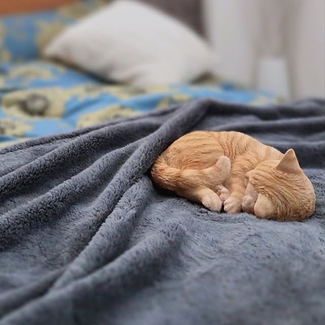 jinさんの実例写真