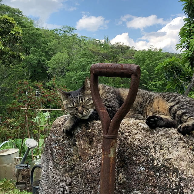 weさんの実例写真
