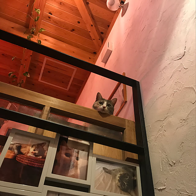 sakurasakuさんの実例写真