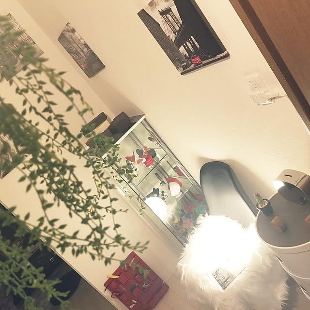 Mr.Lonelyさんの実例写真