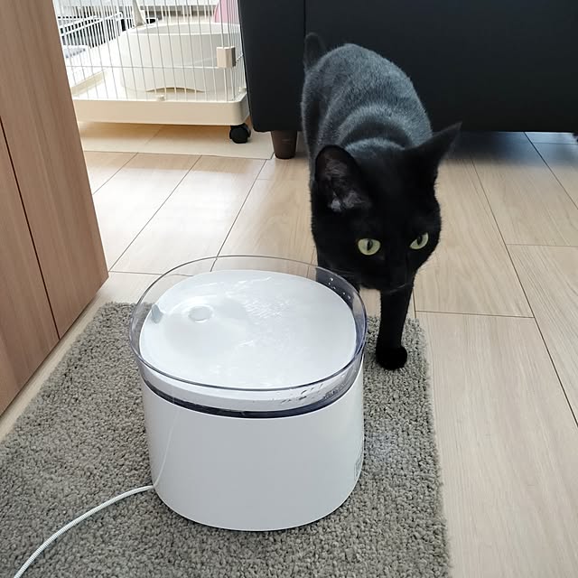 sakuraさんの部屋