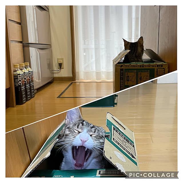 nobikoさんの実例写真