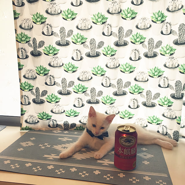 oniyomeさんの実例写真