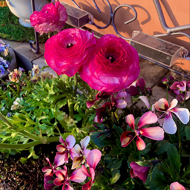 tomoさんの実例写真