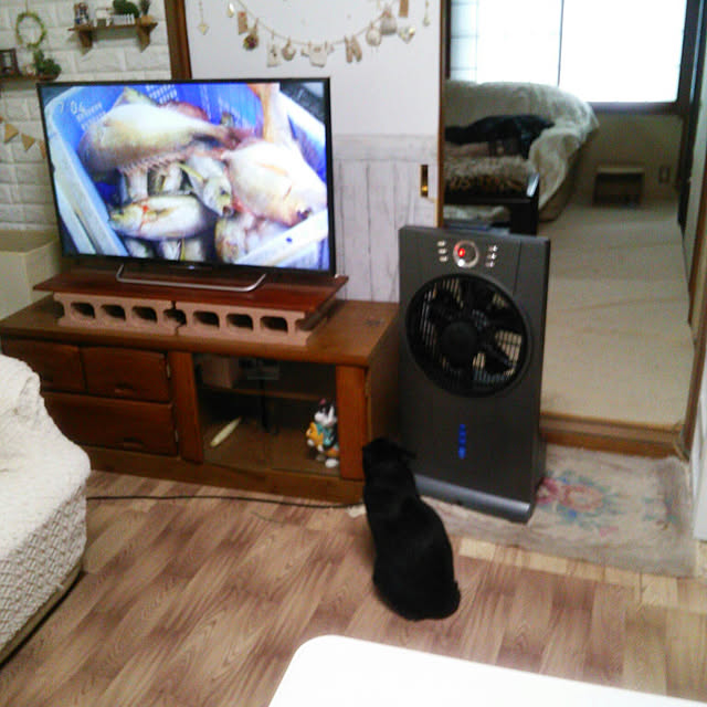 Tomopさんの実例写真