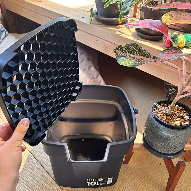 greycatsさんの部屋