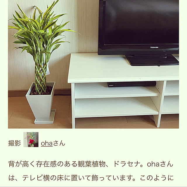 ohaさんの実例写真