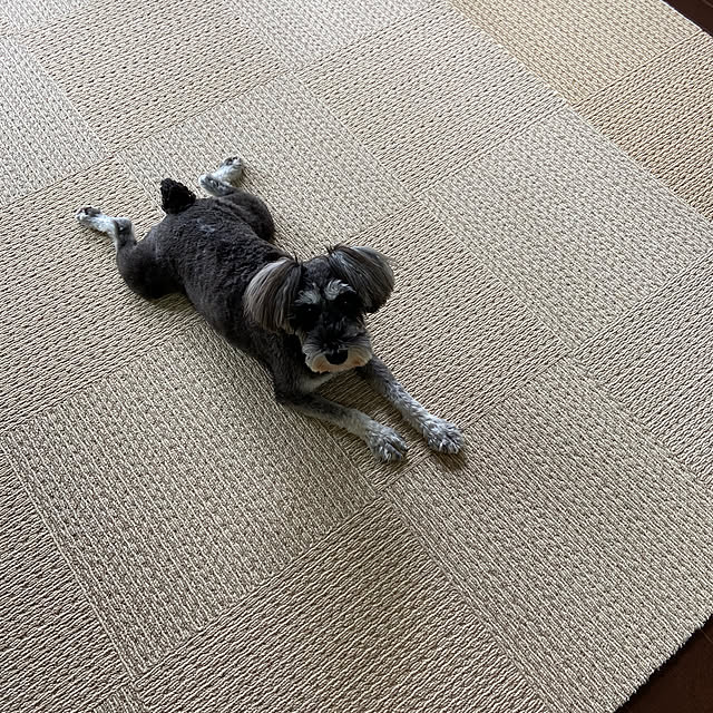 shazuhaさんの実例写真
