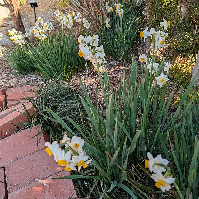 fuchan0930さんの部屋