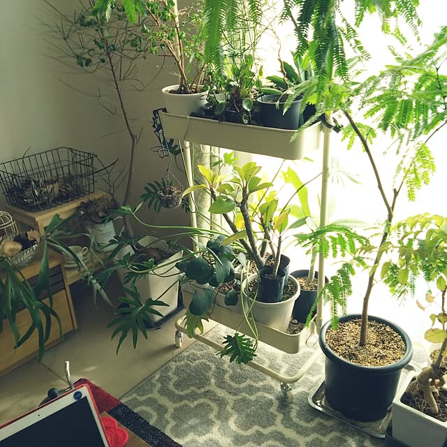 chocococoaさんの部屋
