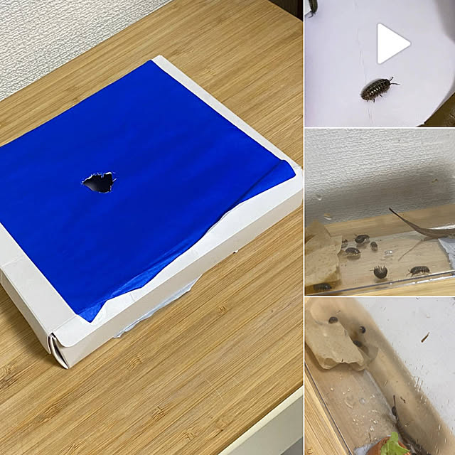 ohanaさんの実例写真