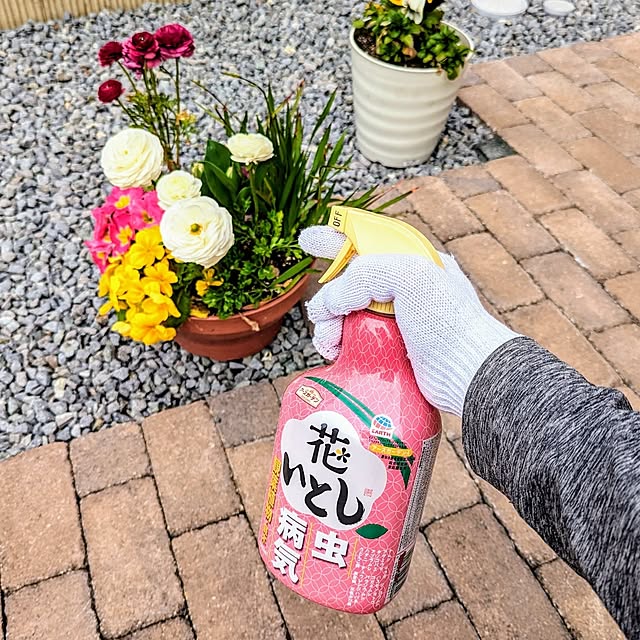 tomatopapaさんの実例写真