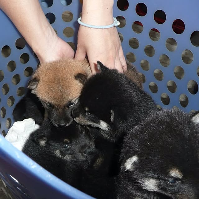 kotaさんの実例写真