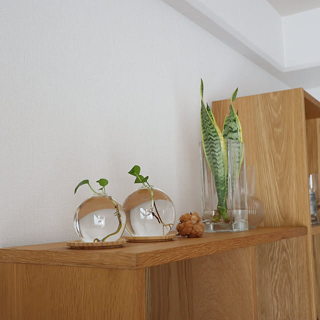 Summerさんの部屋