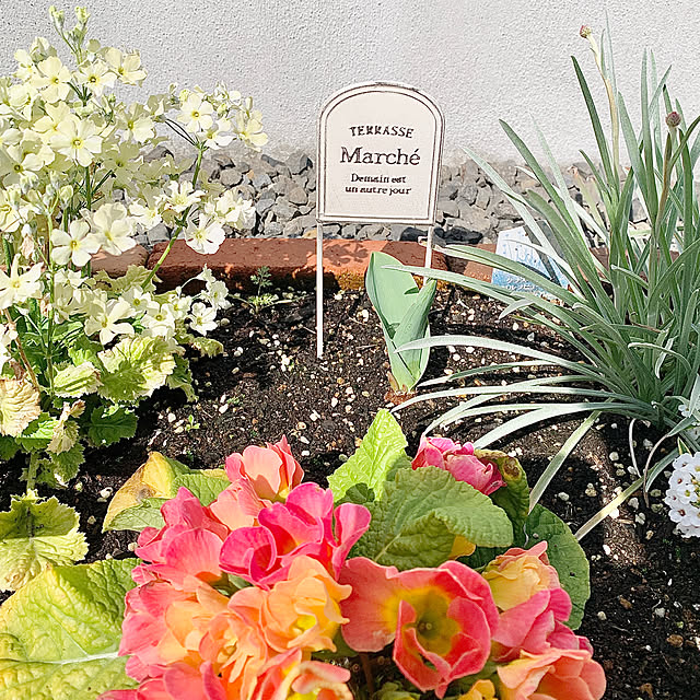 koko_hikaさんの部屋