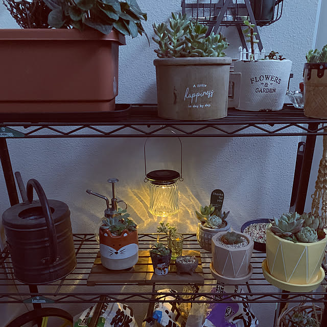 toshyさんの部屋