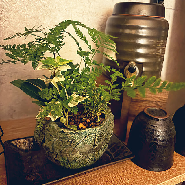 TOTOTOさんの実例写真