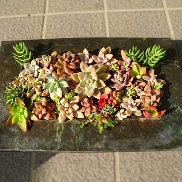 Yukaさんの実例写真