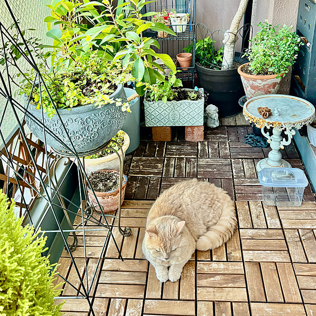 naokoさんの部屋