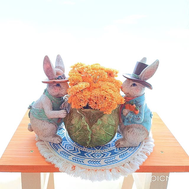 Miyumamaさんの実例写真