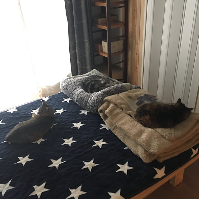 mikomaruさんの実例写真