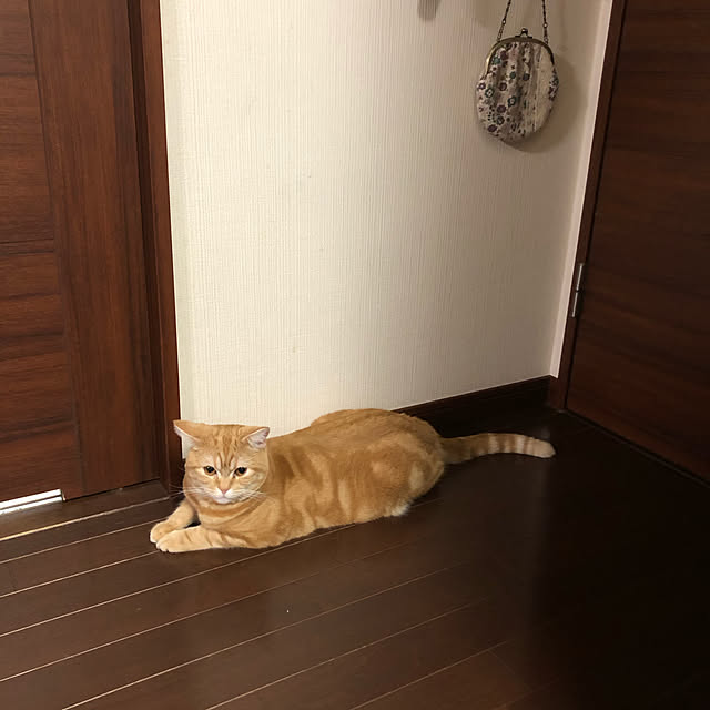 Atelier.mさんの実例写真