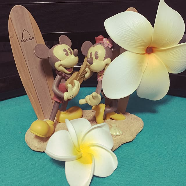 maaaaaaaiさんの実例写真