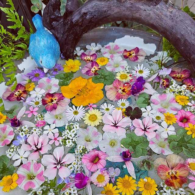 mocomocoさんの部屋