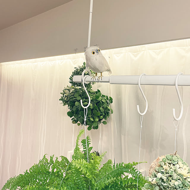 nanakoさんの実例写真