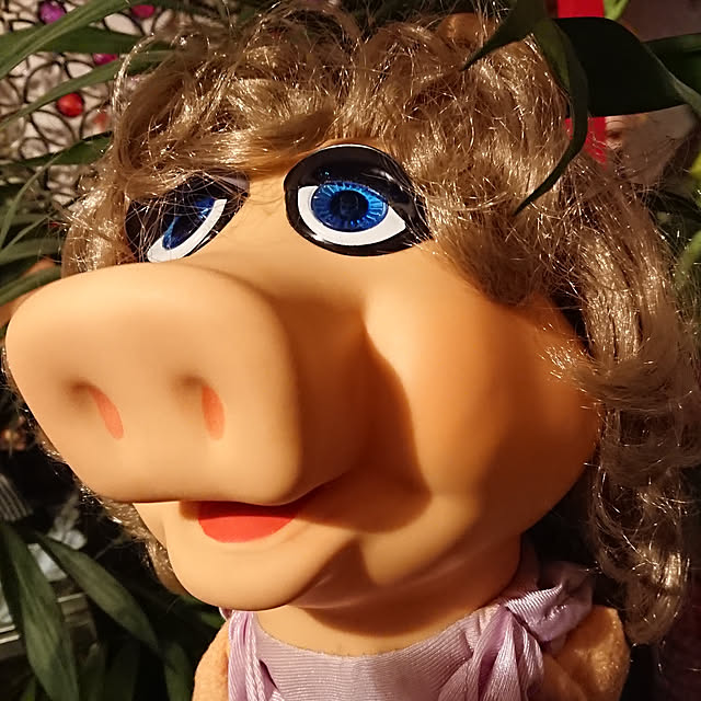 denkoさんの実例写真