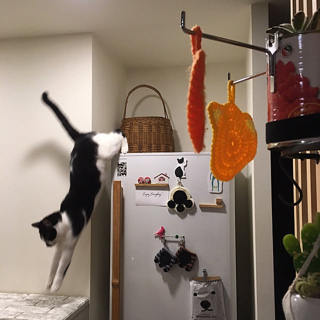 mikomaruさんの実例写真