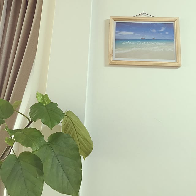 壁/天井/beach/ウンベラータ/ポスター作りました/ハンドメイドポスター...などのインテリア実例 - 2016-06-06 11:18:40