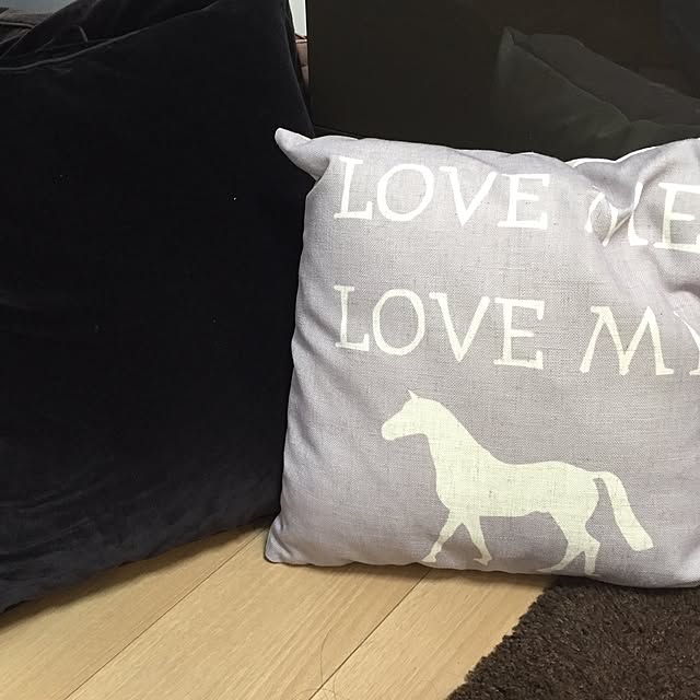 cheval_noirさんの実例写真