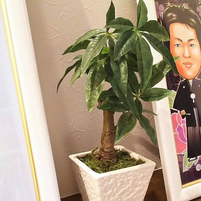shontaさんの実例写真