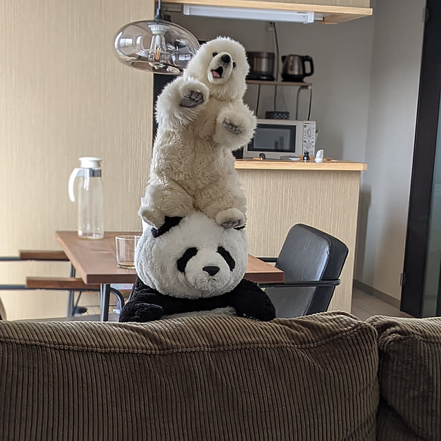 sinsinさんの実例写真