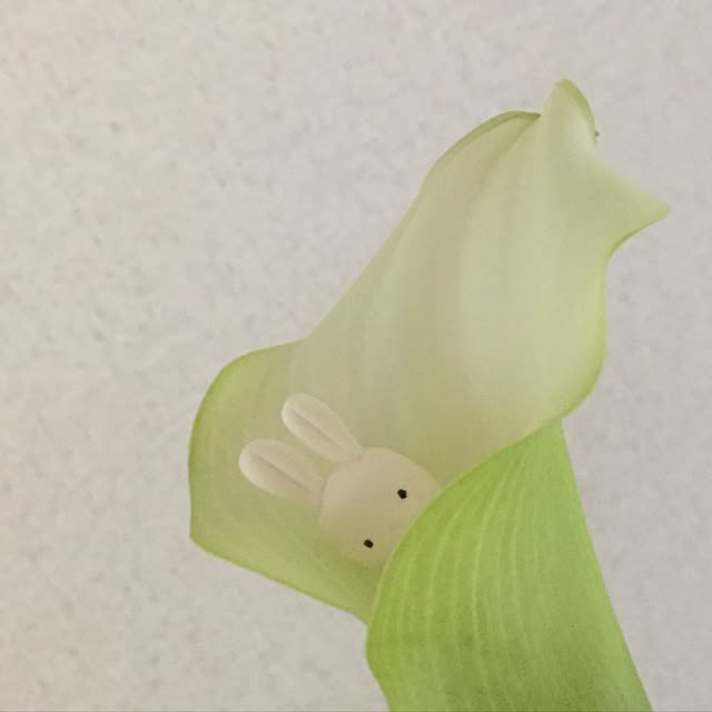 popoyukiさんの実例写真