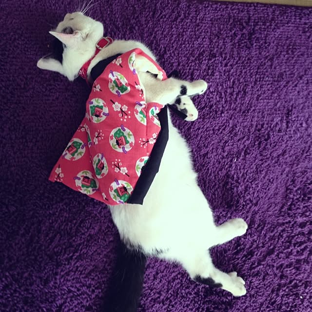 pandasyokudoさんの実例写真