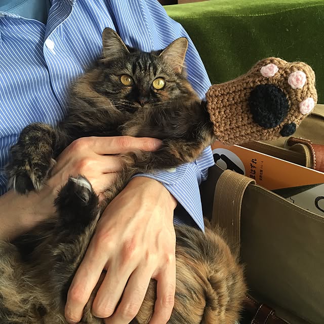 mikomaruさんの実例写真