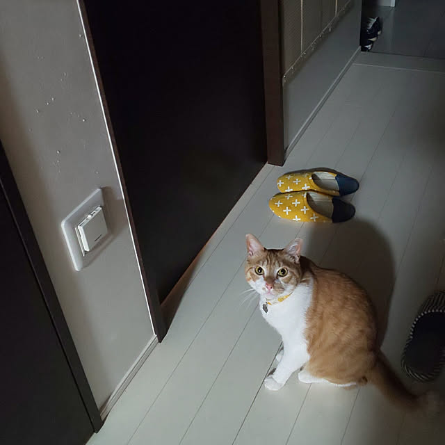 mihirouさんの実例写真