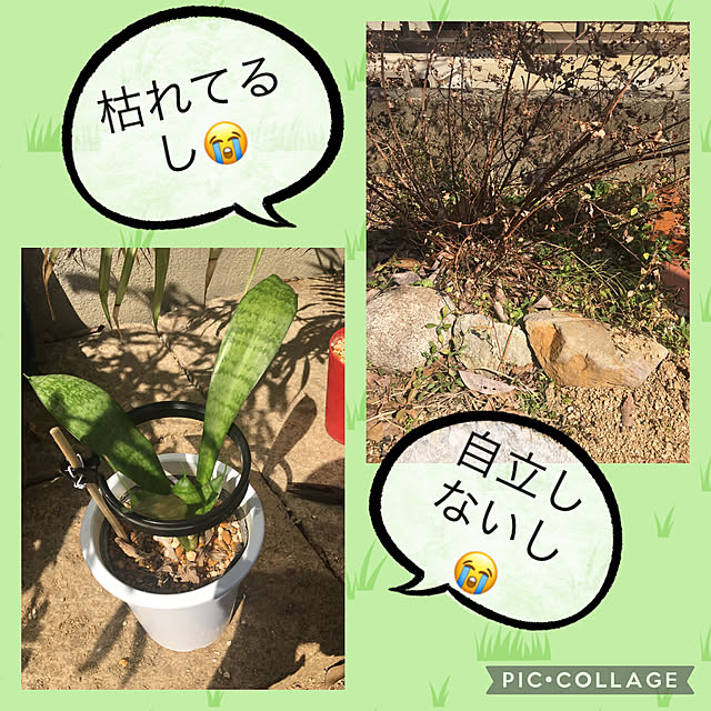 kenoさんの実例写真