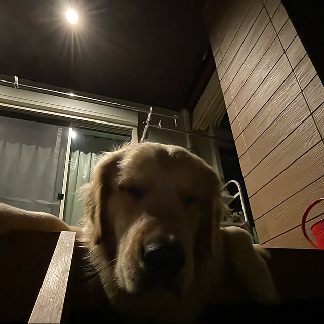 marinkoさんの実例写真