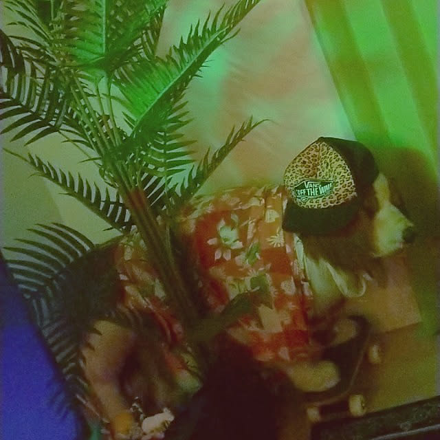 nikeさんの実例写真