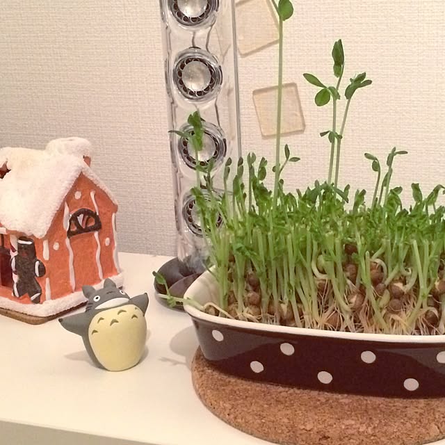 yuyuさんの実例写真