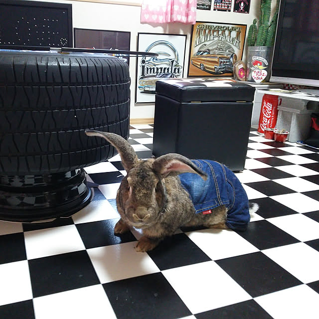 Mikaさんの実例写真