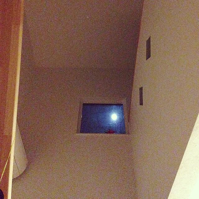 niRieさんの実例写真