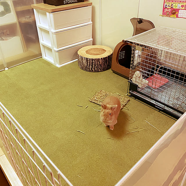 oneeeeiさんの実例写真