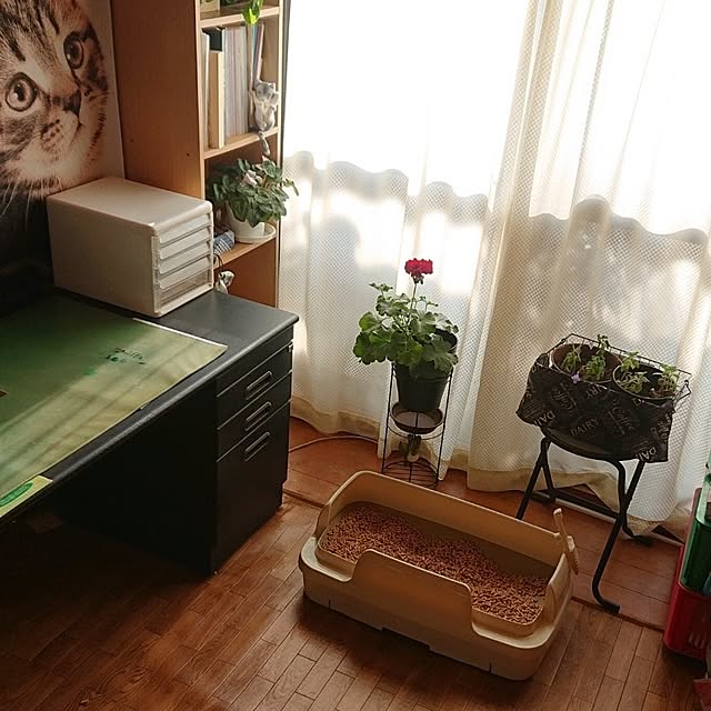 NOAHさんの部屋