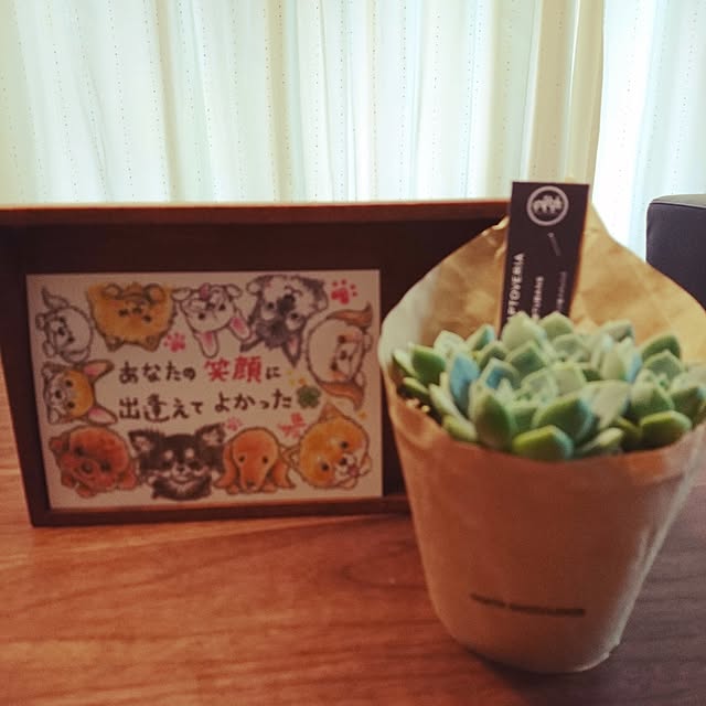 lovepeaceさんの実例写真